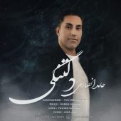 دانلود آهنگ حامد انصاری دلتنگی